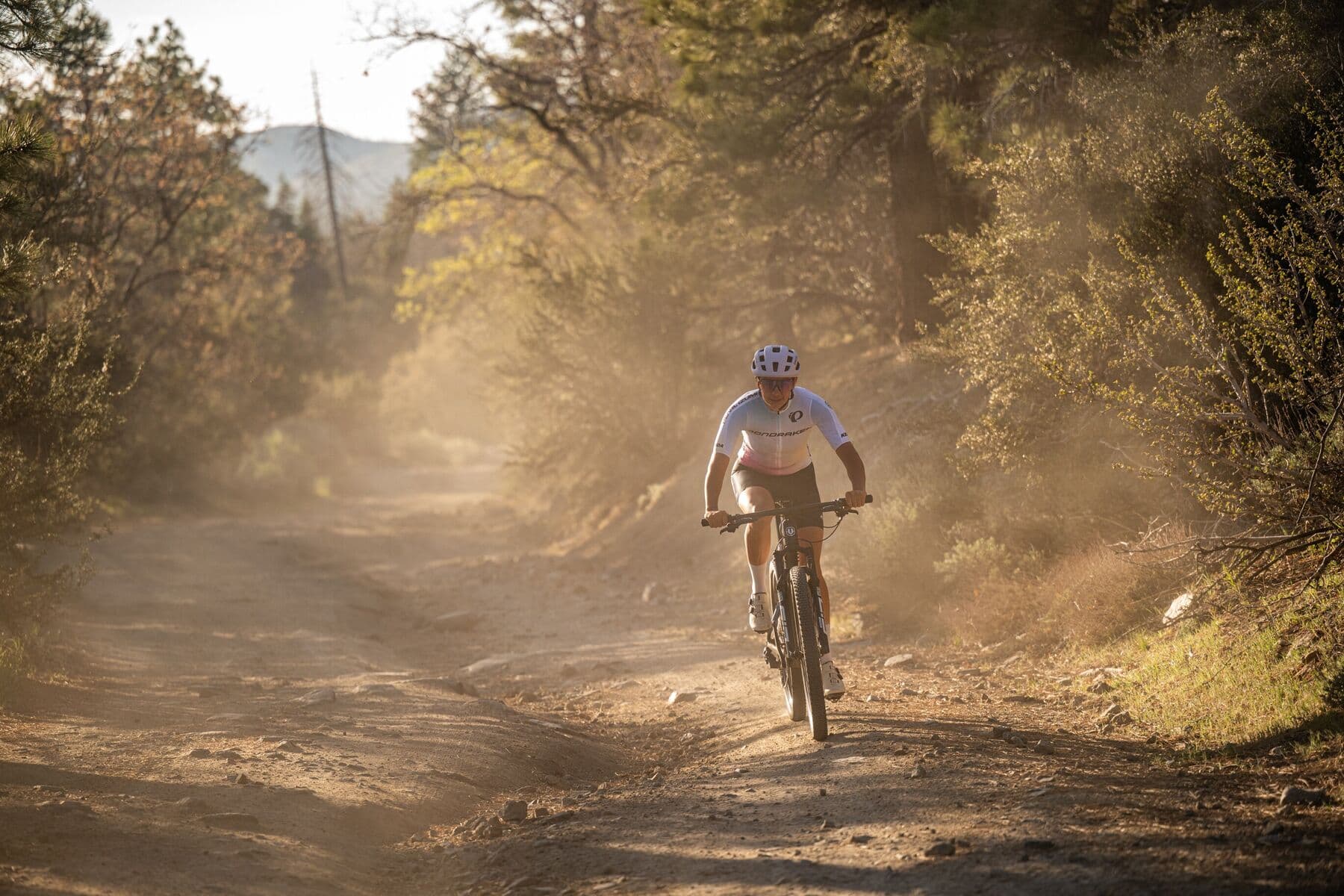 Mountain biker on a dusty forest trail